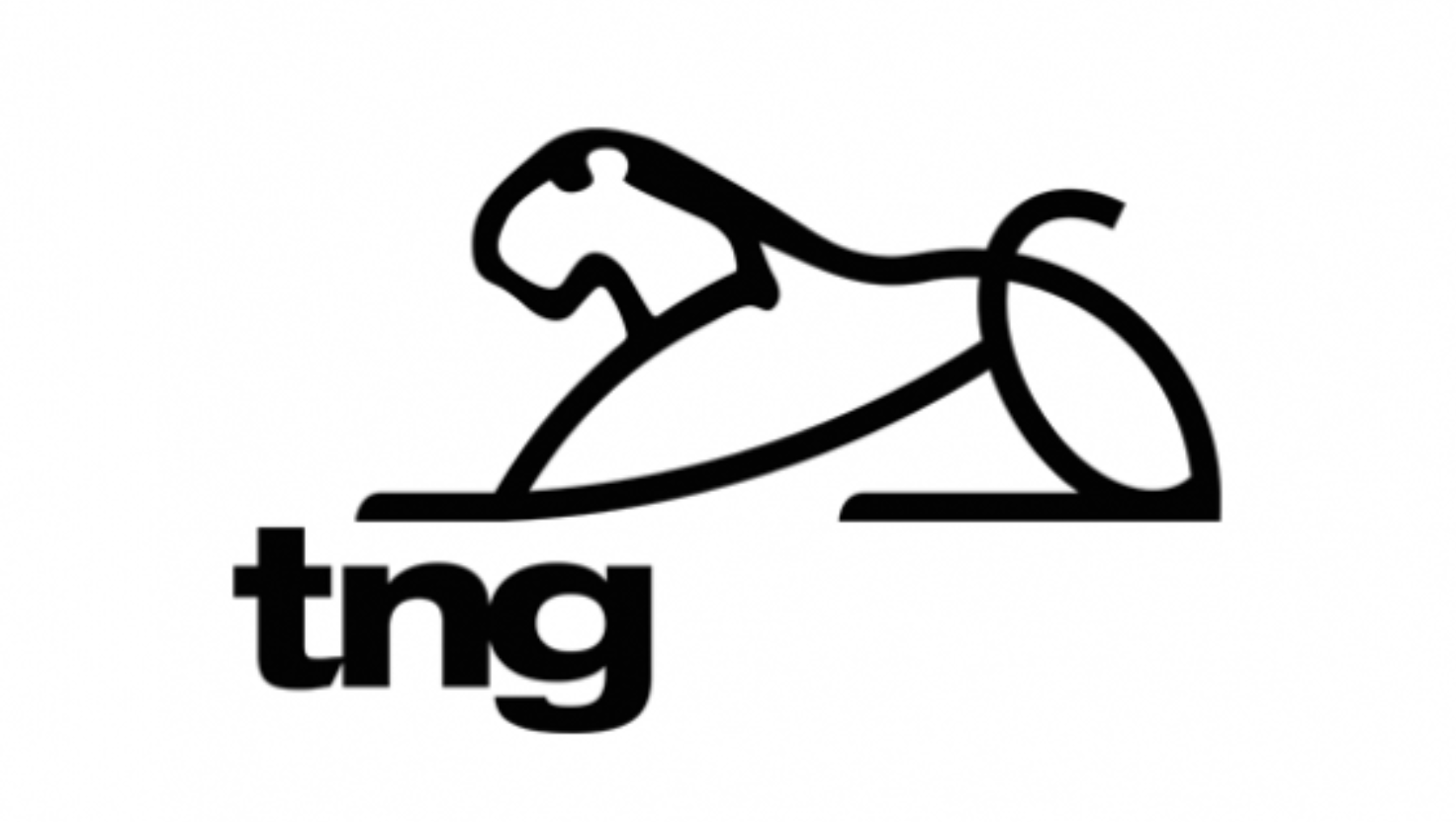 Inserir um pouquinho de texto (1)